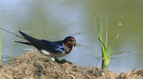 今天谷雨发朋友圈怎么说