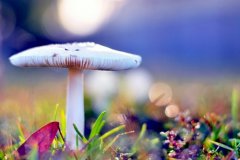 形容自己最近状态差的句子朋友圈