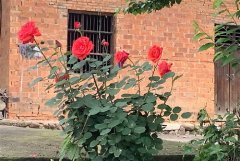 拍老房子发朋友圈的精美句子短