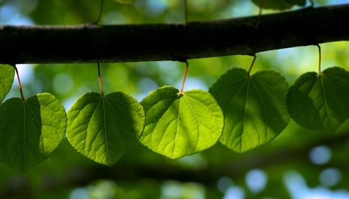 70岁老人2个字的微信名