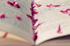 抖音网名女生好听最火最可爱