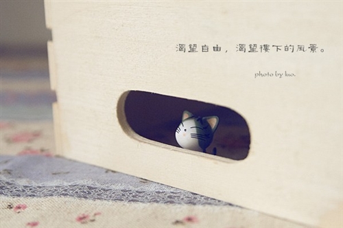 抖音网名女生好听最火2022