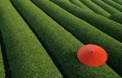 关于珍惜时间的文案一年级(精选66句)