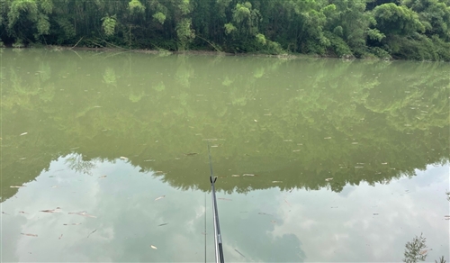 钓鱼抖音很火的短句(精选31句)