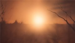 午安的暖心句子(精选43句)