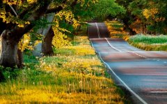 一家三口游玩合照发朋友圈的句子(精选45句)