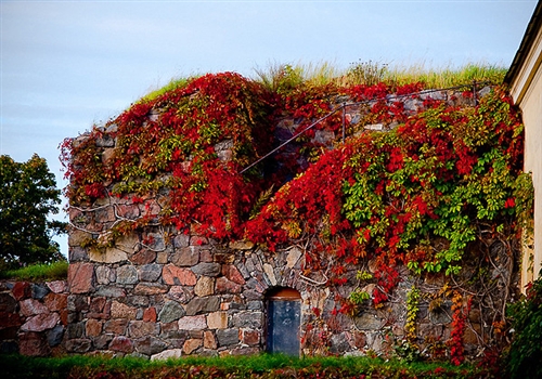 今天心情美美的句子(精选47句)