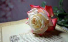 孤独的最高境界一句话(精选44句)