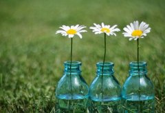 讽刺人性丑陋的句子(精选31句)