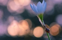 生病发朋友圈让人心疼的句子(精选52句)