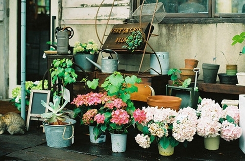 世界上最顶尖最好的名言名句(精选55句)