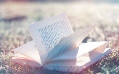 早上发朋友圈的句子可吸引人(精选45句)