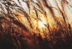 心里说不出的难受句子(45句)