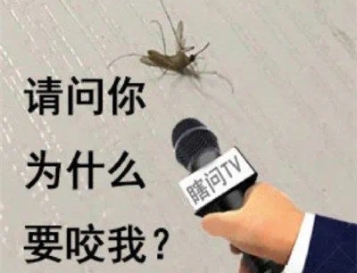 被蚊子咬怎么幽默的发朋友圈(42句) 被蚊子咬怎么幽默的发朋友圈(42句)