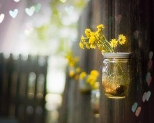 30一40岁女人抖音名字(精选85句)