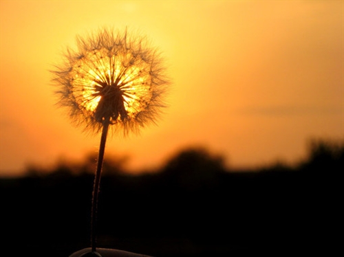 让自己运气变好的网名(精选100个) 让自己运气变好的网名(精选100个)