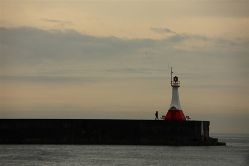 让人一见就心动的昵称(精选65句)