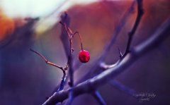 2023吉祥好兆头的网名(精选100个)