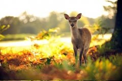 同事之间要和睦相处的名言名句(精选35句)