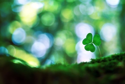 勇于突破自己的励志语(精选35句) 勇于突破自己的励志语(精选35句)