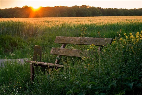 吃力不讨好看穿人心经典句子(50句)