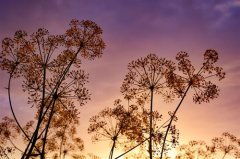 童年快乐简短的句子(精选66句)