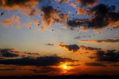 学会释怀把一切看淡唯美句子(44句)