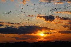 微信个性签名显得高级感的句子(精选37句)