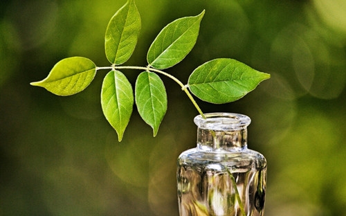 提醒别人管好自己的嘴的句子(30句)