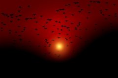 一路走来不容易的感悟(精选30句)