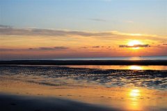 一不小心就胖了的说说心情(精选41句)