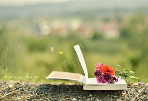 气质女人味的抖音名(精选65句)