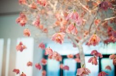 同学情谊的句子发朋友圈(精选55句)