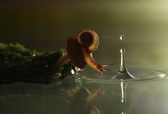 暗示别人管好自己的嘴的说说(32句)