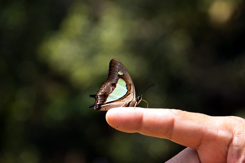心情郁闷的短句说说(49句) 心情郁闷的短句说说(49句)