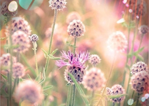 晒孩子的奖状的句子(44句)