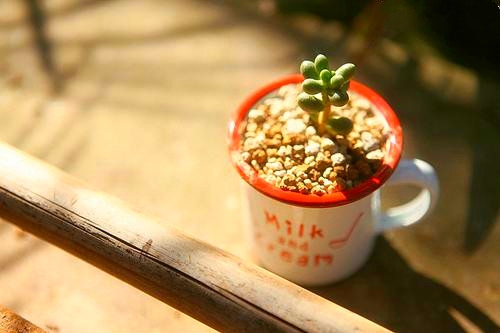 秋天登高望远的优美句子(精选38句) 秋天登高望远的优美句子(精选38句)