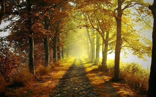 近视眼搞笑的悲哀句子(精选50句)