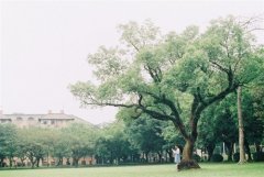 夫妻三观不合的经典句子(24句)