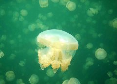 2022早安心语正能量的句子(精选42句)