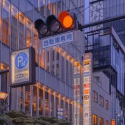 适合中年人女性的微信头像(精选12张)