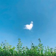 40岁女人最适合的微信头像(精选10张)