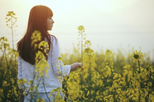 三字古风情侣网名一对(精选47个)