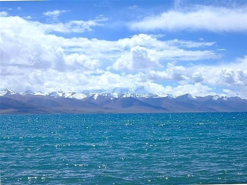 修心养性的网名(精选74个)