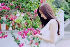 带林字的网名三个字(精选78个)