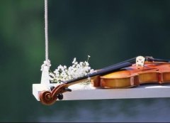 家长对老师辛苦付出的感谢话(30句)