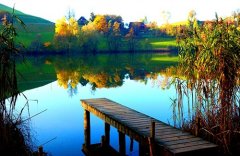 生命脆弱感悟的句子(41句)