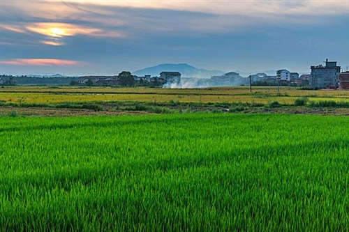 形容乡村美景的句子(45句)