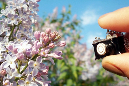 30句感谢老师的话(精选45句) 30句感谢老师的话(精选45句)