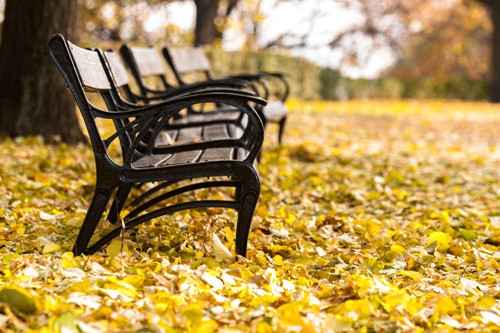 描写美景的句子(67句) 描写美景的句子(67句)